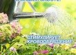 Дигидрокверцетин Плюс