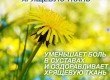 Одуванчик П